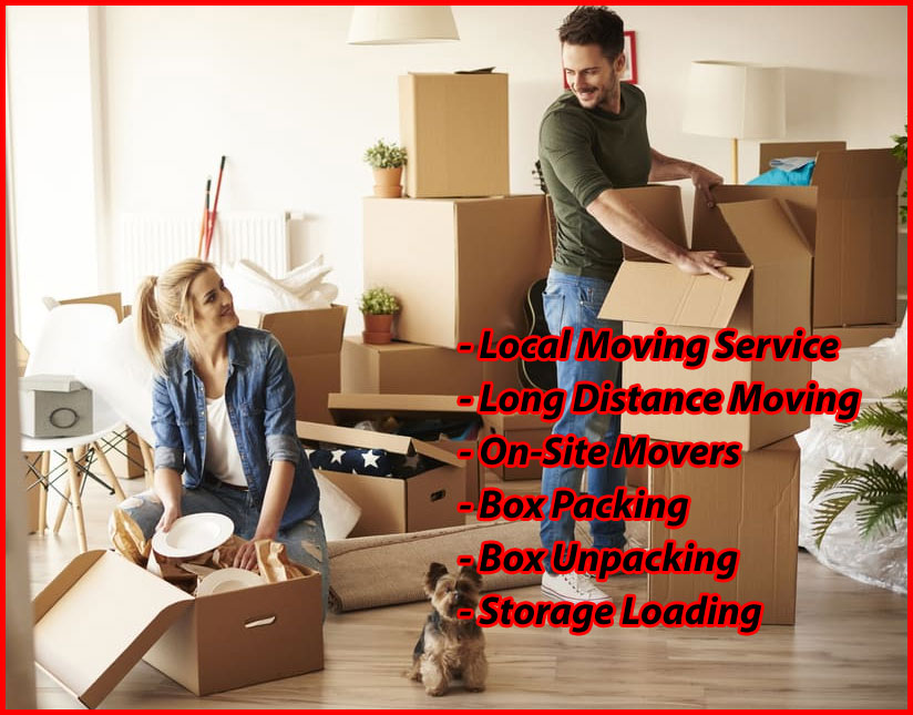 Packers And Movers Noida Sector 89